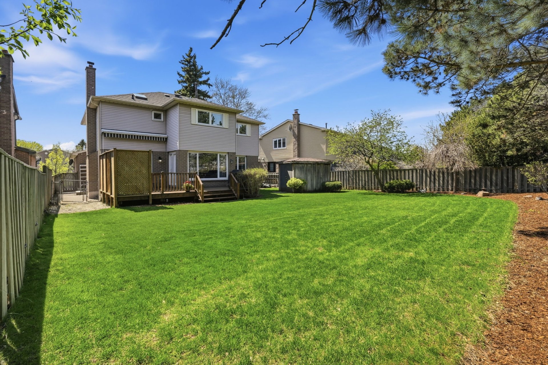 Backyard — Rear View
